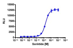 Eurofins Discoverx PathHunter CHO-K1 TACR3 β-Arrestin Cell Line, 2 vials. (93-0501C2)