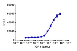 Eurofins Discoverx PathHunter HEK 293 IGF1R Functional Assay, 2 vials.