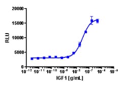Eurofins Discoverx&nbsp;PathHunter eXpress IGF1R Functional Assay, 10-Plate Kit. (93-0505E1CP17L)