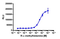 Eurofins Discoverx&nbsp;PathHunter eXpress HRH3 CHO-K1 β-Arrestin GPCR Assay, 10-Plate Kit. (93-0509E2CP2L)