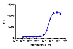 Eurofins Discoverx&nbsp;PathHunter CHO-K1 mCXCR2 (IL8RB) β-Arrestin Cell Line, 2 vials. (93-0513C2)