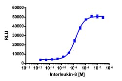 Eurofins Discoverx&nbsp;PathHunter eXpress mCXCR2 CHO-K1 β-Arrestin GPCR Assay, 10-Plate Kit. (93-0513E2MCP0L)