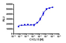 Eurofins Discoverx&nbsp;PathHunter CHO-K1 CXCR5 β-Arrestin Cell Line, 2 vials. (93-0514C2)