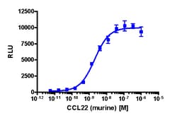 Eurofins Discoverx&nbsp;PathHunter CHO-K1 mCCR4 β-Arrestin Cell Line, 2 vials. (93-0515C2)
