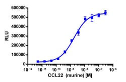 Eurofins Discoverx&nbsp;PathHunter eXpress mCCR4 CHO-K1 β-Arrestin GPCR Assay, 10-Plate Kit. (93-0515E2MCP0L)