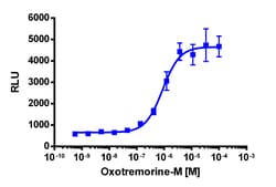 Eurofins Discoverx&nbsp;PathHunter CHO-K1 CHRM5 β-Arrestin Cell Line, 2 vials. (93-0519C2)
