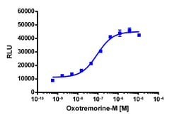 Eurofins Discoverx&nbsp;PathHunter eXpress CHRM5 CHO-K1 β-Arrestin GPCR Assay, 2-Plate Kit. (93-0519E2CP0M)