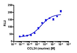 Eurofins Discoverx&nbsp;PathHunter CHO-K1 mCCR3 β-Arrestin Cell Line, 2 vials. (93-0522C2)