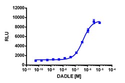 Eurofins Discoverx&nbsp;PathHunter eXpress mOPRM1 U2OS β-Arrestin GPCR Assay, 2-Plate Kit. (93-0524E3MCP5M)