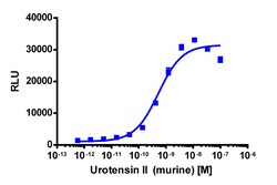 Eurofins Discoverx&nbsp;PathHunter eXpress mUTR2 CHO-K1 β-Arrestin GPCR Assay, 2-Plate Kit. (93-0525E2MCP0M)