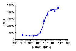 Eurofins Discoverx&nbsp;PathHunter eXpress TrkA-P75 Functional Assay, 10-Plate Kit. (93-0529E3CP16L)