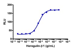 Eurofins Discoverx&nbsp;PathHunter U2OS ErbB2-ErbB3 Functional Assay, 2 vials. (93-0535C3)