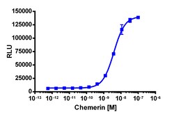 Eurofins Discoverx&nbsp;PathHunter eXpress mCMKLR1 CHO-K1 β-Arrestin GPCR Assay, 10pl Kit. (93-0537E2MCP0L)