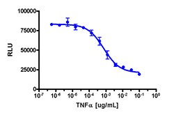 Eurofins Discoverx PathHunter HEK 293 IκB Degradation Cell Line, 2 vials. (93-0538C1)