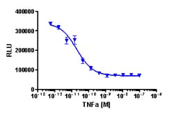 Eurofins Discoverx PathHunter U2OS IκB Degradation Cell Line, 2 vials.
