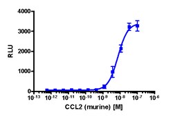 Eurofins Discoverx&nbsp;PathHunter U2OS mCCR2 β-Arrestin Cell Line, 2 vials. (93-0543C3)