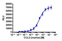 Eurofins Discoverx PathHunter eXpress mCCR2 U2OS β-Arrestin GPCR Assay,