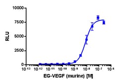Eurofins Discoverx&nbsp;PathHunter CHO-K1 rPROKR1 β-Arrestin Cell Line, 2 vials. (93-0544C2)