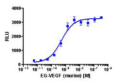 Eurofins Discoverx&nbsp;PathHunter eXpress rPROKR1 CHO-K1 β-Arrestin GPCR Assay, 10pl Kit. (93-0544PE2RCP0L)