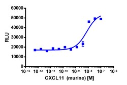 Eurofins Discoverx&nbsp;PathHunter eXpress mCXCR3 CHO-K1 β-Arrestin GPCR Assay, 10-Plate Kit. (93-0553E2MCP0L)