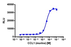 Eurofins Discoverx PathHunter CHO-K1 mCCR8 β-Arrestin Cell Line, 2 vials.