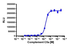 Eurofins Discoverx&nbsp;PathHunter eXpress C5AR1 CHO-K1 β-Arrestin GPCR Assay, 10-Plate Kit. (93-0557E2CP0L)