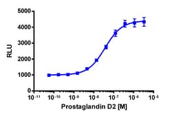 Eurofins Discoverx PathHunter U2OS CRTH2 β-Arrestin Cell Line, 2 vials.