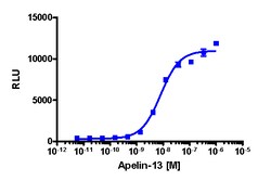 Eurofins Discoverx&nbsp;PathHunter CHO-K1 mAGTRL1 β-Arrestin Cell Line, 2 vials. (93-0565C2)