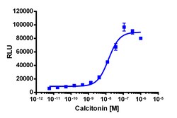 Eurofins Discoverx&nbsp;PathHunter CHO-K1 CALCR (No RAMP) β-Arrestin Cell Line, 2 vials. (93-0566C2)