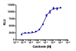 Eurofins Discoverx&nbsp;PathHunter U2OS CALCR (No RAMP) β-Arrestin Cell Line, 2 vials. (93-0566C3)