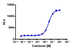 Eurofins Discoverx&nbsp;PathHunter eXpress CALCR CHO-K1 β-Arrestin GPCR Assay, 10-Plate Kit. (93-0566E2CP2L)