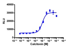 Eurofins Discoverx&nbsp;PathHunter eXpress CALCR U2OS β-Arrestin GPCR Assay, 10-Plate Kit. (93-0566E3CP5L)