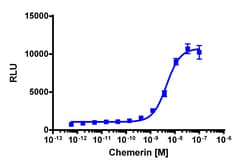 Eurofins Discoverx&nbsp;PathHunter CHO-K1 mGPR1 β-Arrestin Cell Line, 2 vials. (93-0571C2)
