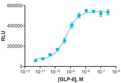 Eurofins Discoverx&nbsp;PathHunter GLP2R Bioassay Kit, 10-Plate. (93-0572Y2-00134)