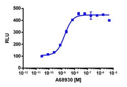 Eurofins Discoverx&nbsp;PathHunter CHO-K1 mDRD5 β-Arrestin Cell Line, 2 vials. (93-0573C2)