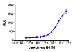 Eurofins Discoverx PathHunter CHO-K1TB4R1 β-Arrestin Cell Line, 2 vials.
