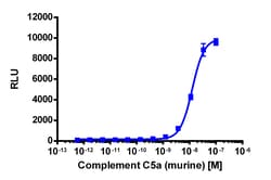 Eurofins Discoverx&nbsp;PathHunter CHO-K1 mC5AR1 β-Arrestin Cell Line, 2 vials. (93-0577C2)