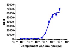 Eurofins Discoverx&nbsp;PathHunter eXpress mC5AR1 CHO-K1 β-Arrestin GPCR Assay, 10-Plate Kit. (93-0577E2MCP0L)
