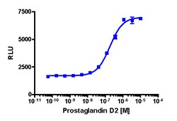 Eurofins Discoverx&nbsp;PathHunter CHO-K1 rCRTH2 β-Arrestin Cell Line, 2 vials. (93-0580C2)