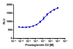 Eurofins Discoverx&nbsp;PathHunter eXpress rCRTH2 CHO-K1 β-Arrestin GPCR Assay, 10-Plate Kit. (93-0580E2RCP2L)