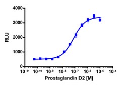 Eurofins Discoverx&nbsp;PathHunter CHO-K1 mCRTH2 β-Arrestin Cell Line, 2 vials. (93-0584C2)