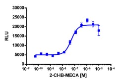 Eurofins Discoverx PathHunter CHO-K1 ADORA3 β-Arrestin Cell Line, 2 vials.