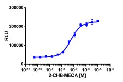 Eurofins Discoverx&nbsp;PathHunter eXpress ADORA3 CHO-K1 β-Arrestin GPCR Assay, 2-Plate Kit. (93-0586E2CP2M)