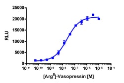 Eurofins Discoverx&nbsp;PathHunter U2OS AVPR1A β-Arrestin Cell Line, 2 vials. (93-0587C3)