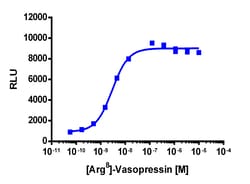 Eurofins Discoverx&nbsp;PathHunter eXpress AVPR1A U2OS β-Arrestin GPCR Assay, 10-Plate Kit. (93-0587E3CP0L)