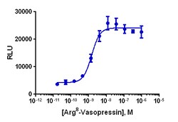 Eurofins Discoverx&nbsp;PathHunter CHO-K1 AVPR2 β-Arrestin Cell Line, 2 vials. (93-0588C2)