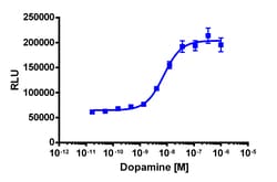 Eurofins Discoverx&nbsp;PathHunter eXpress DRD3 U2OS β-Arrestin GPCR Assay, 10-Plate Kit. (93-0591E3CP0L)
