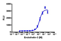 Eurofins Discoverx PathHunter CHO-K1 EDNRB β-Arrestin Cell Line, 2 vials.