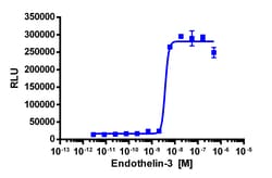 Eurofins Discoverx&nbsp;PathHunter eXpress EDNRB CHO-K1 β-Arrestin GPCR Assay, 10-Plate Kit. (93-0593E2CP0L)