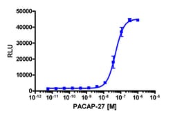 Eurofins Discoverx&nbsp;PathHunter CHO-K1 mADCYAP1R1 (PAC1) β-Arrestin Cell Line, 2 vials. (93-0594C2)